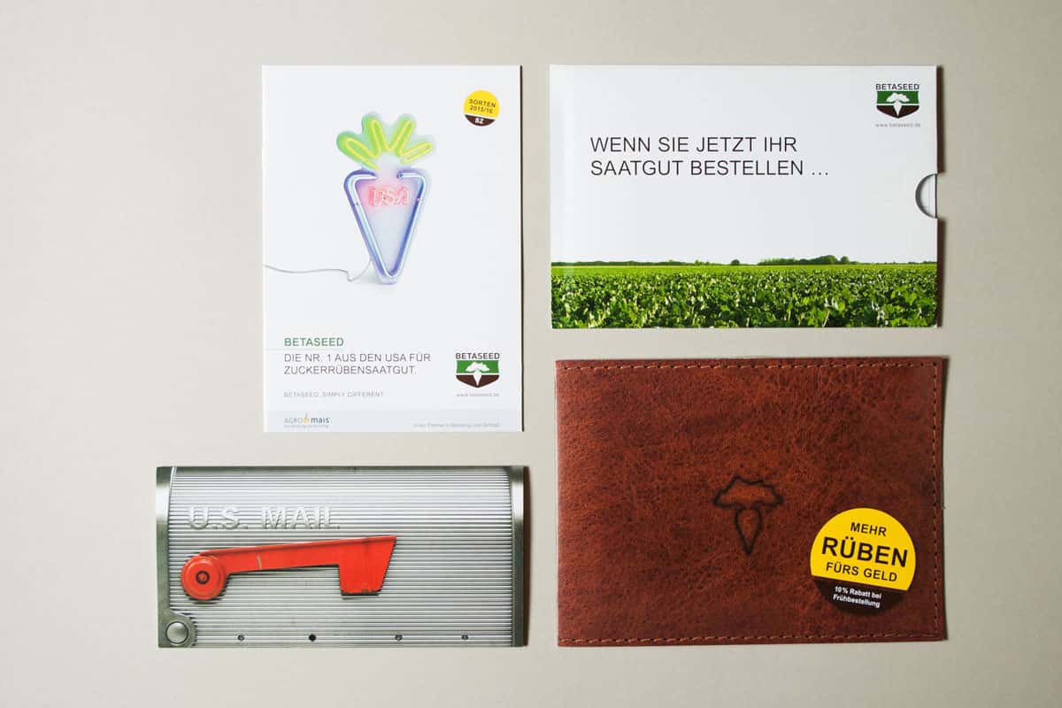 Mailing in Form eines amerikanischen Briefkastens